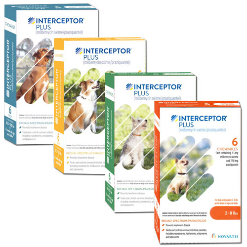 Interceptor heart worm medicine