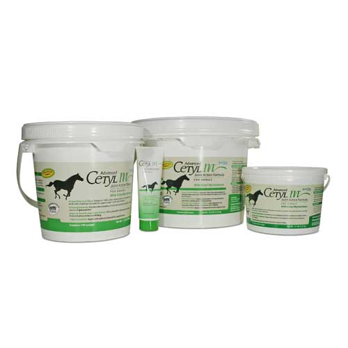 Cetyl m for dogs shop
