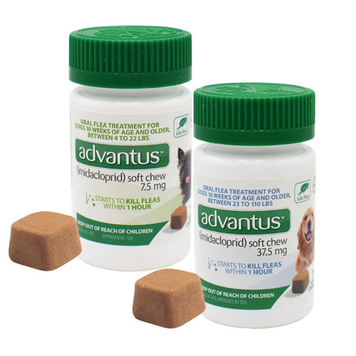 advantus soft chew