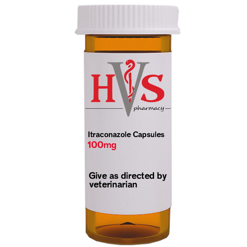 Itraconazole Capsules - Heartland Vet Supply
