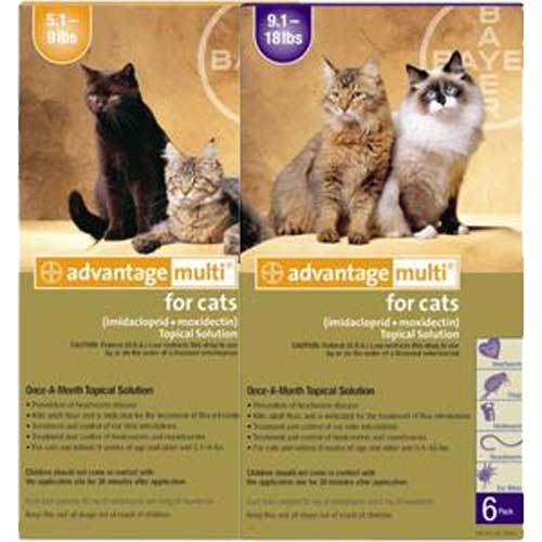 advantage multi topical solution for cats