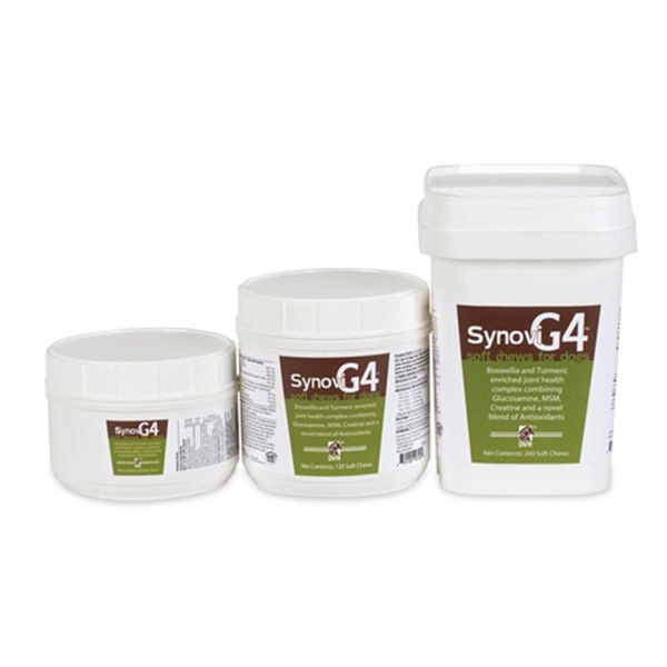 synovi g4 soft chews for dogs
