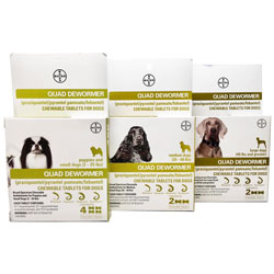 Quad Dewormer for Dogs