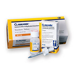 Amoxicillin dosage chart - HQpharmacy.