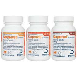 Carprofen (generic) Flavored Tablets