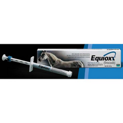 Equioxx Oral Paste