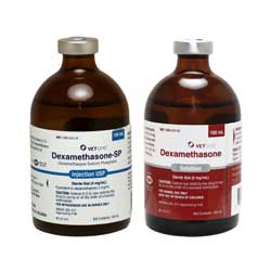 dexamethasone 2mg ml