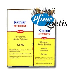 Ketofen Injectable 100mg/ml