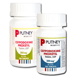 Cefpodoxime Tablets for Dogs