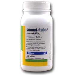 amoxicillin 100mg for dogs