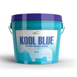 Kool Blue