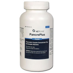 Pancreatic Enzyme Concentrate Powder for Dogs and Cats