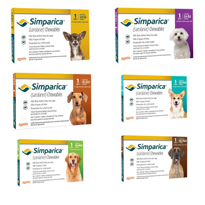 simparica for dogs simparica sarolaner chews for dogs heartlandvetsupply simparica for dogs simparica sarolaner chews for dogs heartlandvetsupply