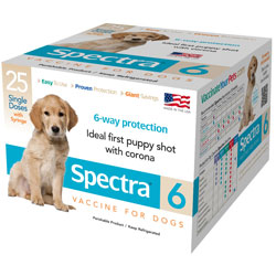 Canine Spectra 6