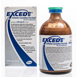 Excede for Horses Injectable 200mg/ml - 100ml