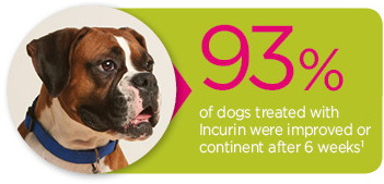 incurin for dogs hvs canine urinary incontinence incurin for dogs hvs canine urinary incontinence