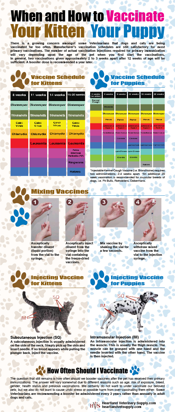 When and How To Vaccinate Your Kitten And Puppy - Infographic