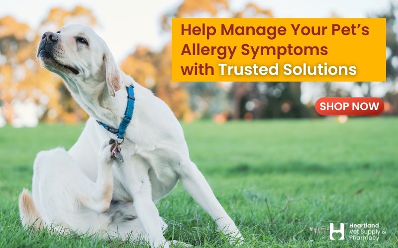 Shop Flea & Tick Preventatives for the Summer at Heartland Vet Supply!