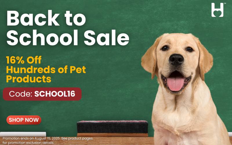 Back to School Sale!