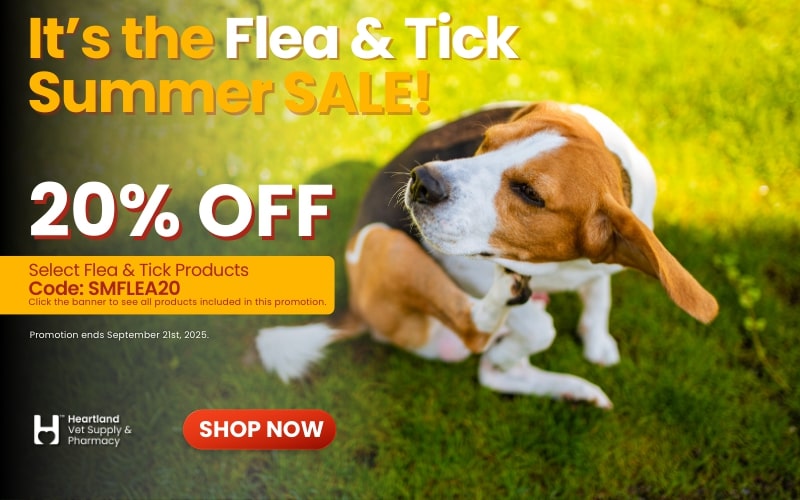 Shop Flea & Tick Preventatives for the Summer at Heartland Vet Supply!