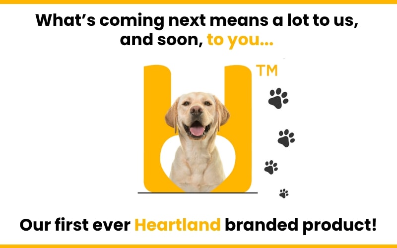 Heartland teaser!