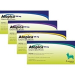 Canine Allergy Meds