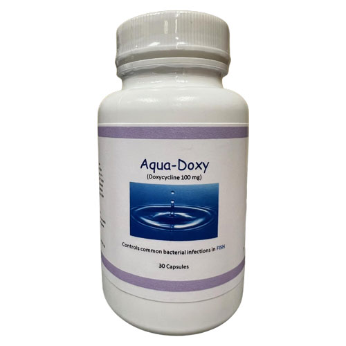 where can i get doxycycline from
