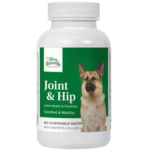  MOVOFLEX Joint Support Supplement for Dogs - Hip and Joint  Support - Dog Joint Supplement - Hip and Joint Supplement Dogs - 120 Soft  Chews for Large Dogs (By Virbac) : Pet Supplies