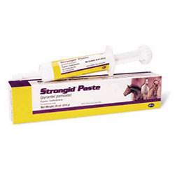 Strongid Paste  Wormer - 20ml Syringe