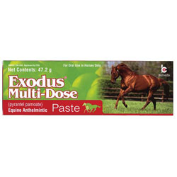 Exodus Paste - Multi Dose - 47.2gm Syringe