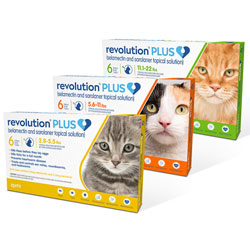 cost of revolution for cats