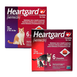 Heartgard Regular for CATS