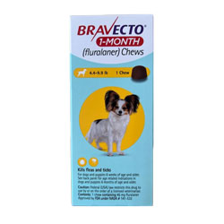 Bravecto 1-Month Chew