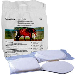 Animalintex Poultice Pad – Animal Health Express