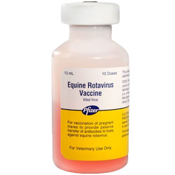 Equine Rotavirus Vaccine