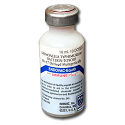 Endovac Equine - 10 Dose Vial