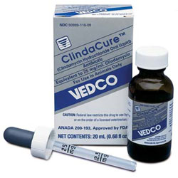 ClindaCure (clindamycin hydrochloride liquid) Oral Drops