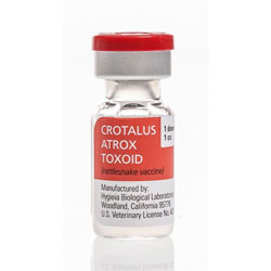 Rattlesnake Vaccine for Dogs