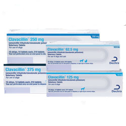 Clavacillin™ Veterinary Tablets