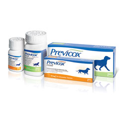 Previcox for Dogs