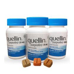 Quellin Soft Chewables