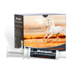 Marquis (ponazuril) Paste
