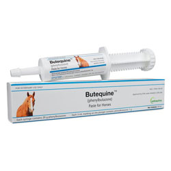 Butequine (Phenylbutazone) Paste for Horses