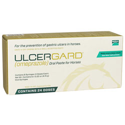 UlcerGard Paste
