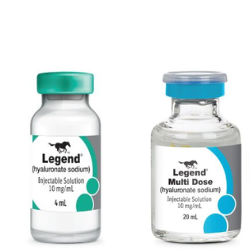 Legend for Horses