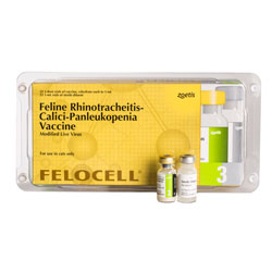 Felocell 3