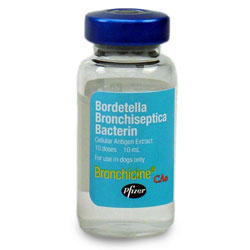 Bronchicine CAe 10mL - 10 Dose Vial