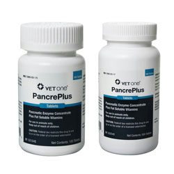 Pancreatic Enzyme Concentrate Tablets