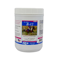 Su-Per B-12 Powder - 2.5 lbs