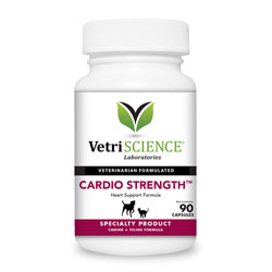 Cardio Strength for Dogs